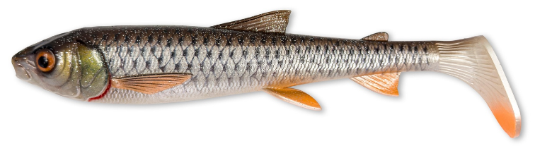 319cf4e736df4a5d8a159e9598c819a6