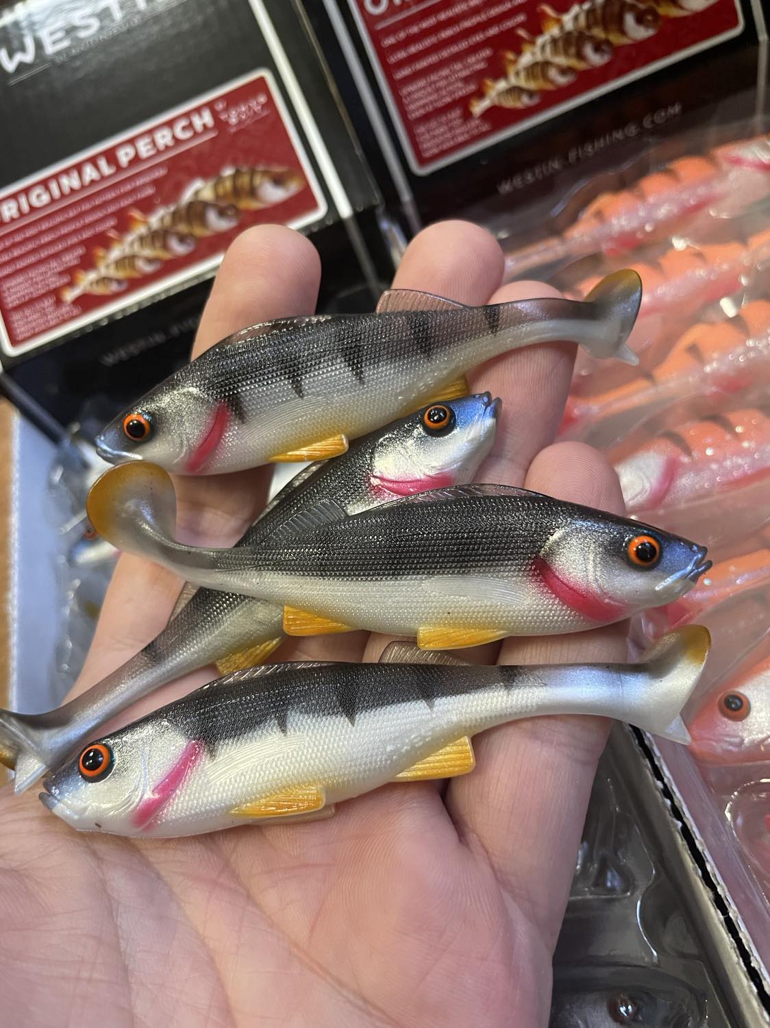 2b8cec723075b88ded07012d3489deda