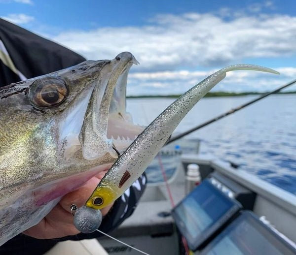 b309b60bd3b40ea247cad786d0e40990