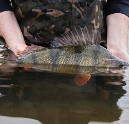 699ee953b65d6a5b680d39fb13200294