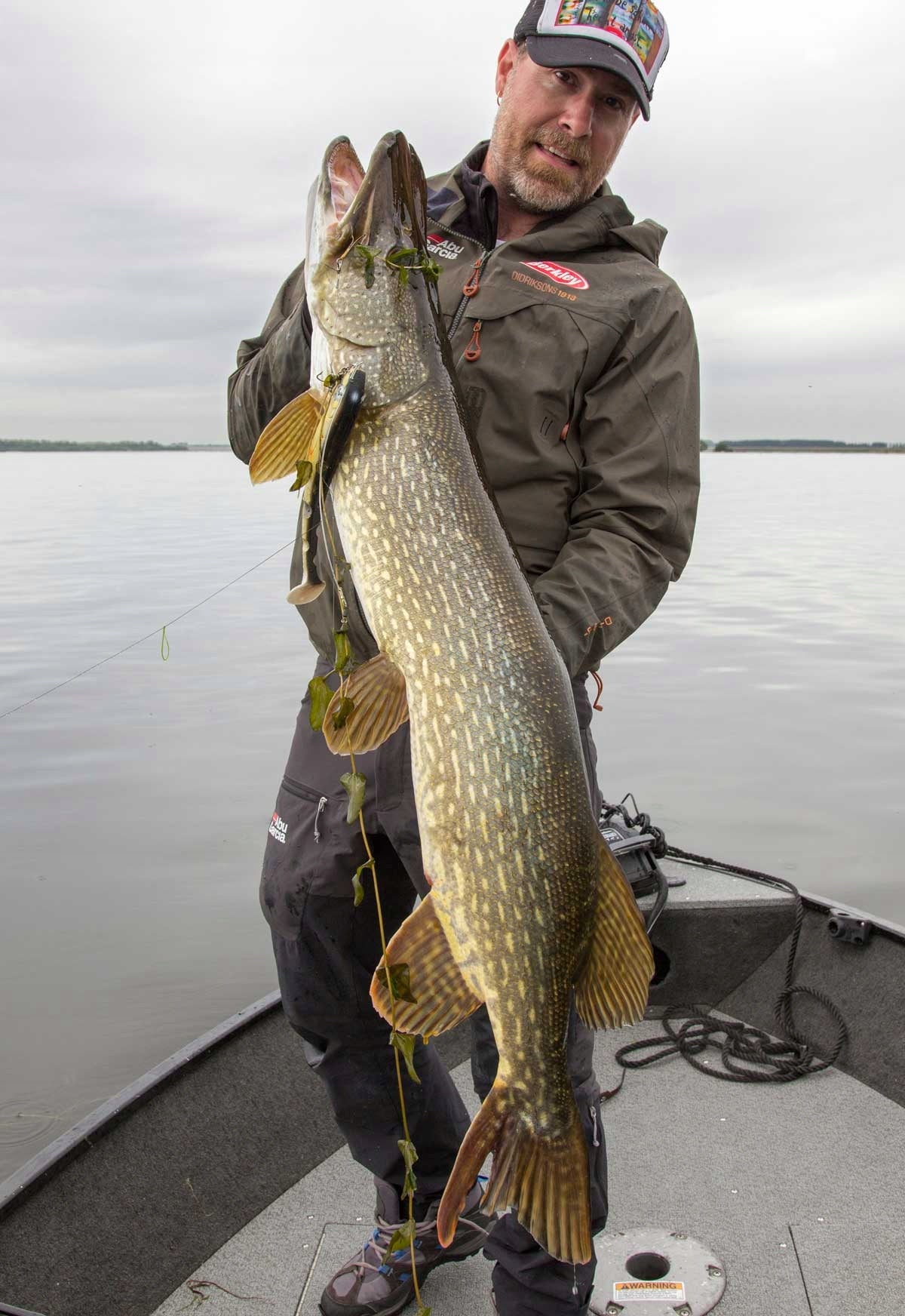 f62bfd4fcff95aa9f698b020efffdd71