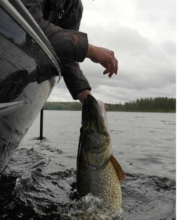 dbfd3cc60349399c0cf162d7c9091d1b