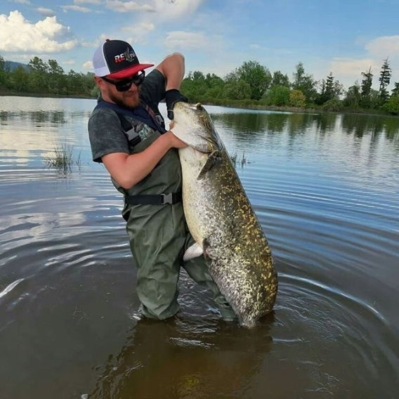 498db8e20dbe490b4d97531a824883a5