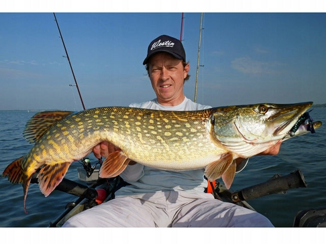 8f5c6f44dc0864cc3b6ac78b373643c8