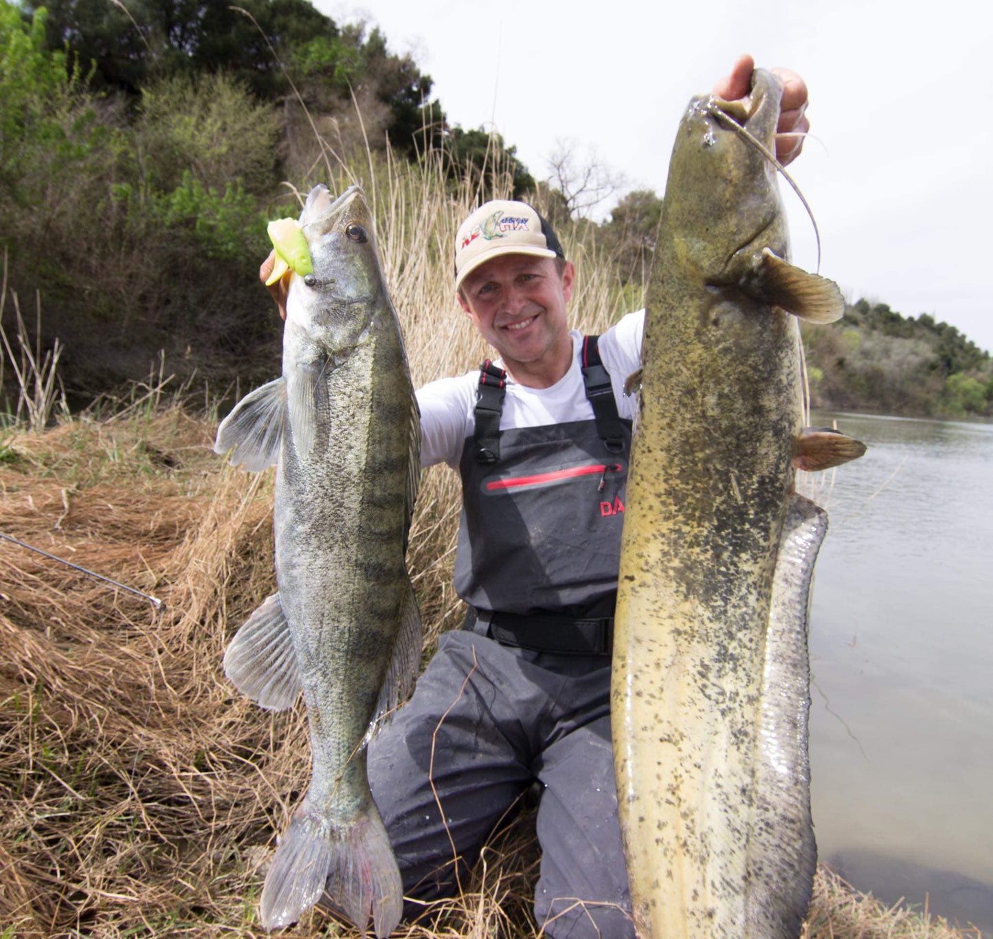 23764610af5329909b350a9e3638c565