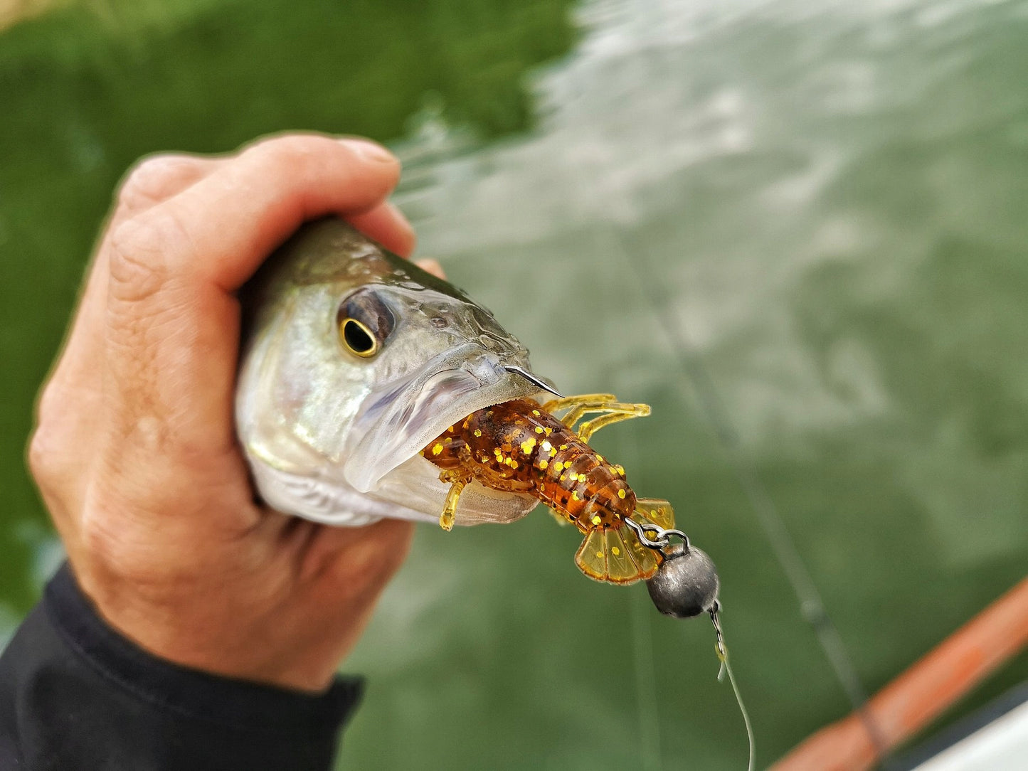 0653bf91d6815bd0ce4e7f3518728ae6