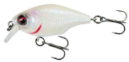 77841fb70de8a6ea76d33430ae49bcc8