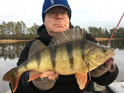 cc9b0e1b71c7025198af3515e5a29fe9