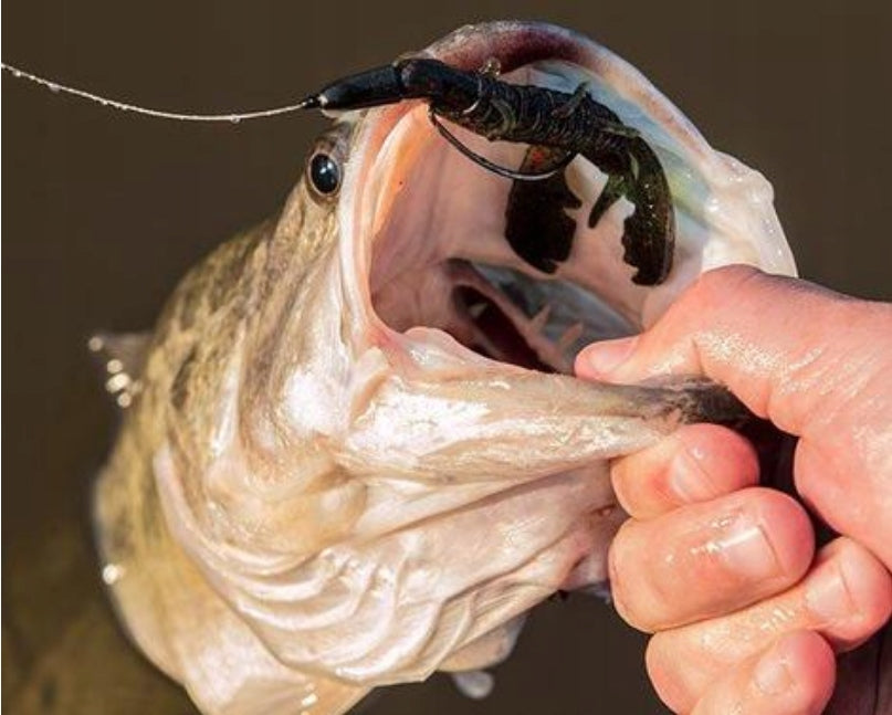 2909f97e4e3d57afd9f21b1a3354a65e