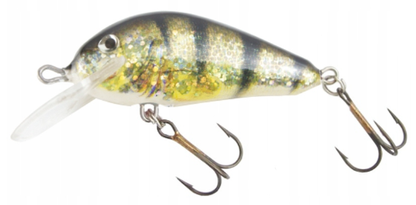 2f117e88e99746c3254a5aa8590956f5