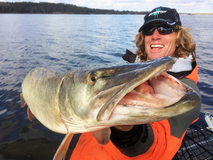 8d46134c70ed00c90bf1ac021fe51fd3