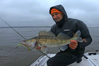 87d3fe2dbb4d157cd371318091638ece