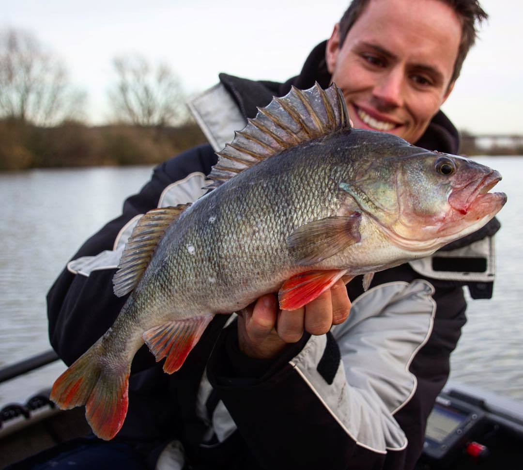 8c24051bb31156bf6029cdb65038305b