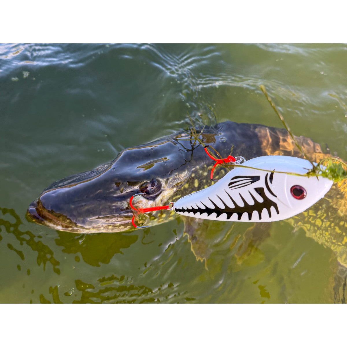 Wobler Westin Swim Glidebait 12cm SUSPENDING - Ghost Bone EDYCJA HALLOWEEN