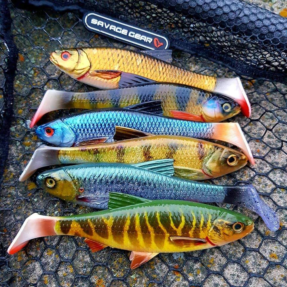 4036b415ae3498c042bd28ab619c3452