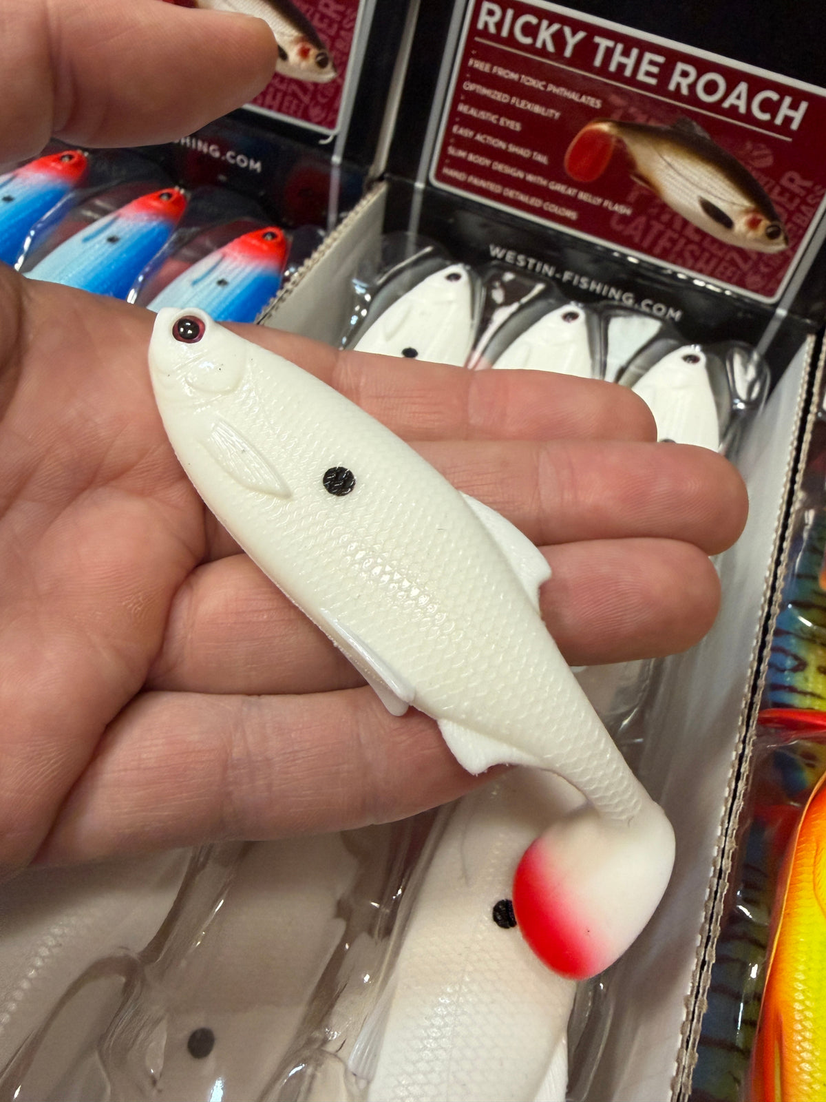 LIMITOWANY ! Guma Westin Ricky The Roach 10cm - Pure Dot EDYCJA DRAPIEŻNIK 1szt