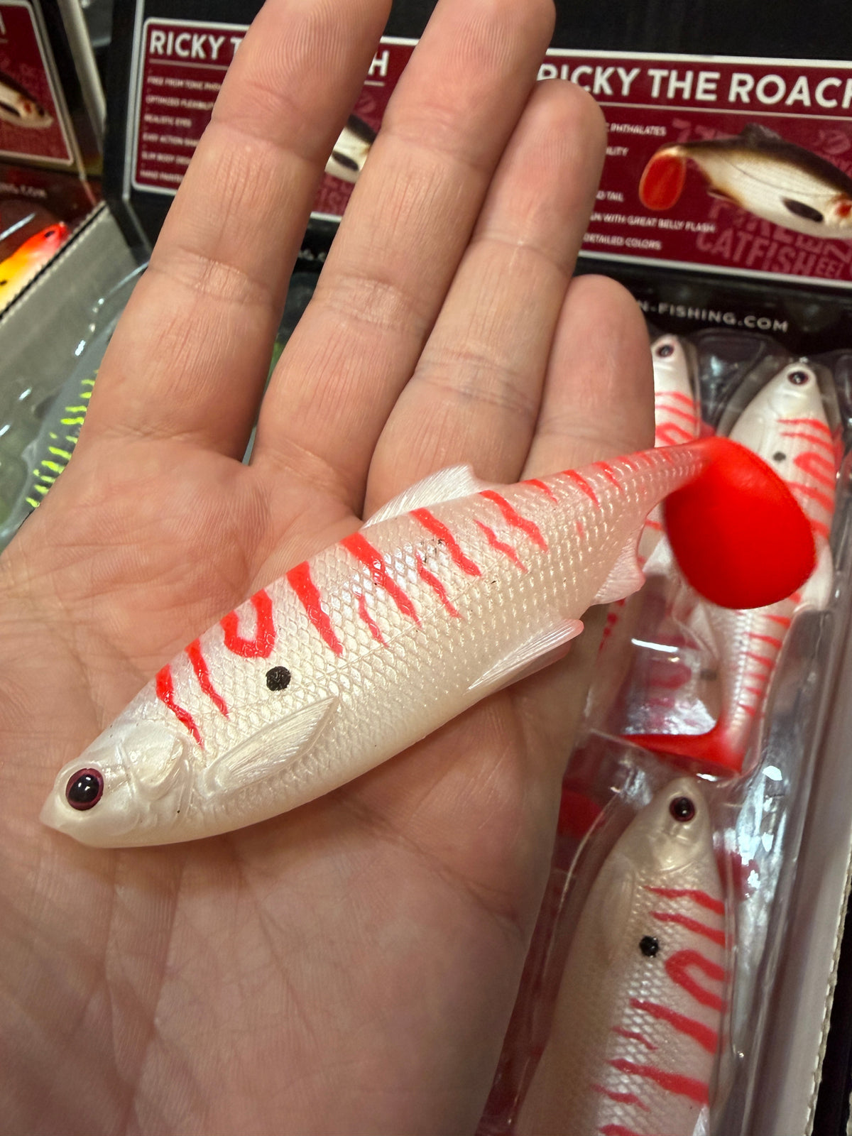 LIMITOWANY ! Guma Westin Ricky The Roach 10cm - Ghost Dot EDYCJA DRAPIEŻNIK 1szt
