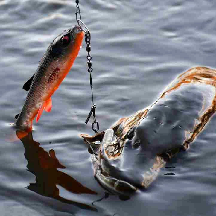 5be15bc004e03168d5e88f5e7e2ccd51