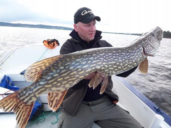 c9f50f1e4aaa7001dd6b2602a096cf00