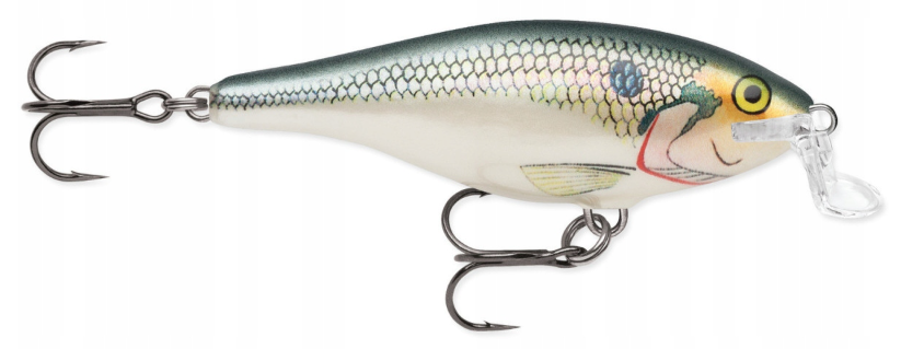 06f59bf8a05e14985bf5e5a4848a8780