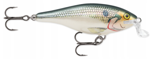 06f59bf8a05e14985bf5e5a4848a8780