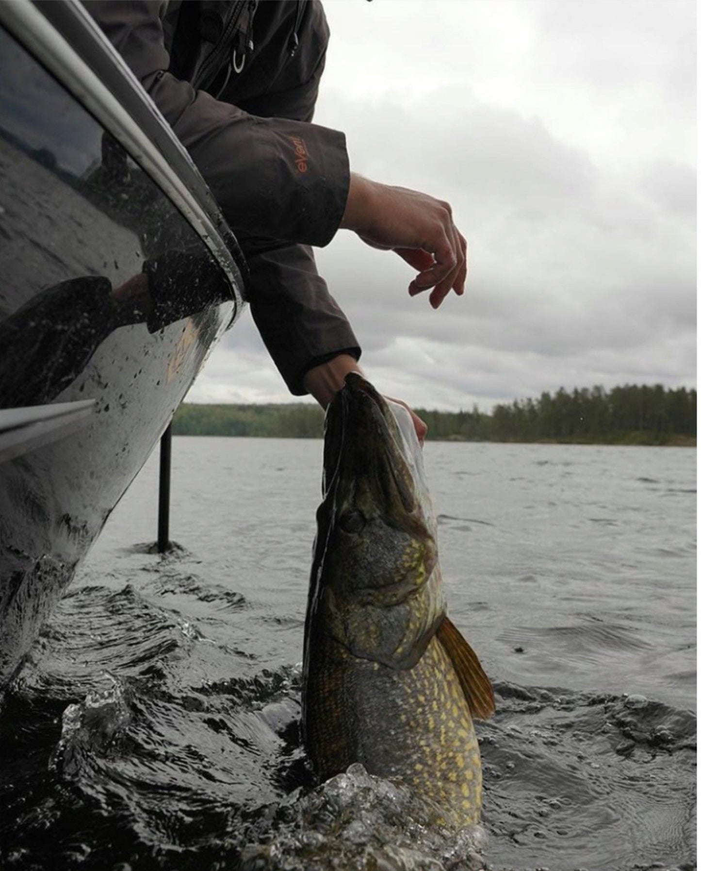 6a48a1bb30453ce615b53c5d4163b97e