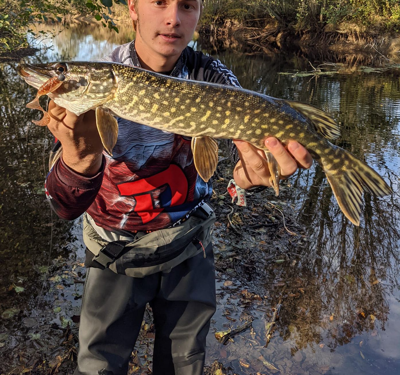 87db5bc380a7907c8bc5f8098a55c866