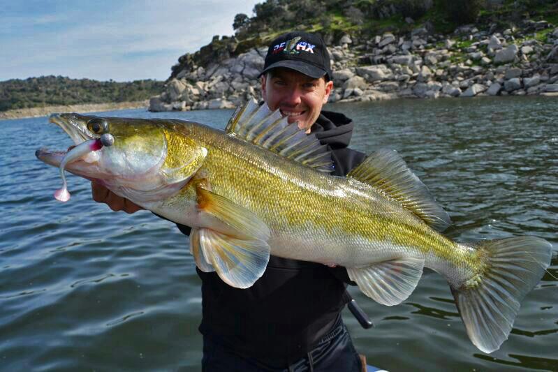 e62553fcc396def5fb51014aac27bb34