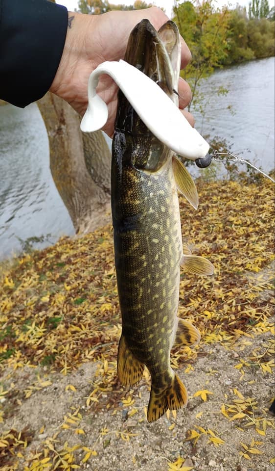 288351dcd51ca7bfa89f419be85bb7fb