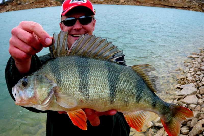 6f50a868b74d4c648eb6fafc0b7006e8