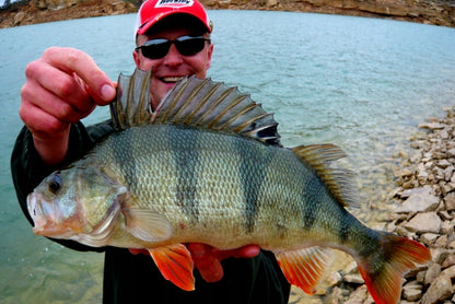 6f50a868b74d4c648eb6fafc0b7006e8