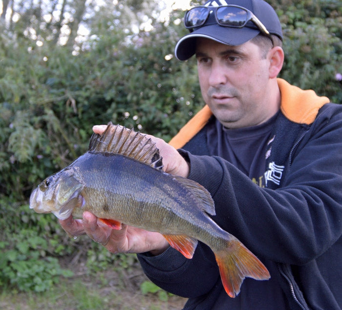 4054a4acd5d745dda864860a881e2b74