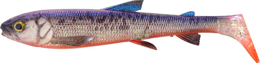 47b86b2dd919ea083077210497194c00