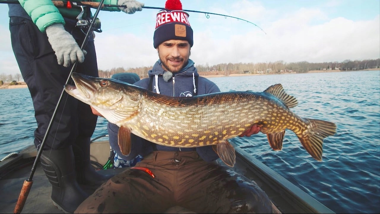 Relax GUMA NA SANDACZA KING SHAD 4'' - 11,5cm