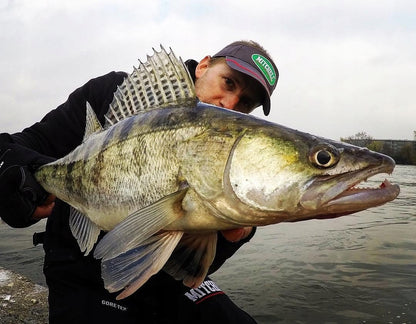 b6d16e93f3600c35f91c9f90672c0bd2